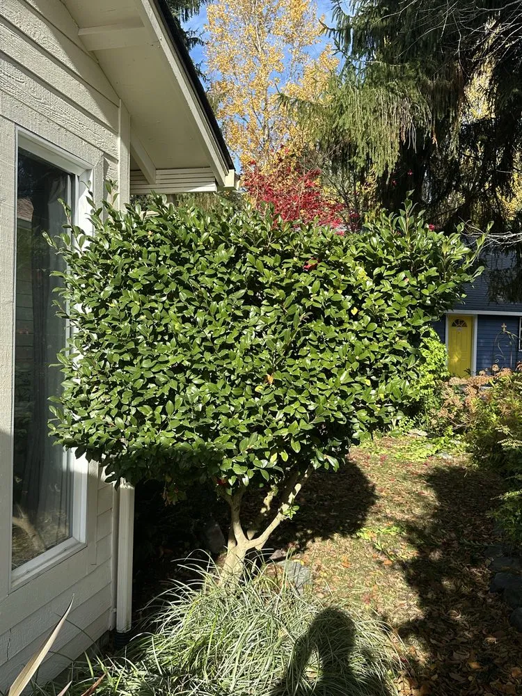 Custom landscaping services in Woodinville, WA by Crosby & Co