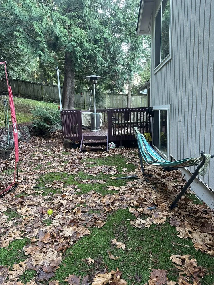 Local yard cleanup service with custom design across Woodinville, WA - Crosby & Co