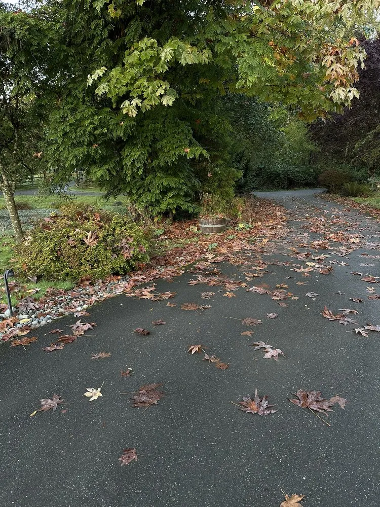 Top-rated garden landscaping experts serving Woodinville, WA - Crosby & Co