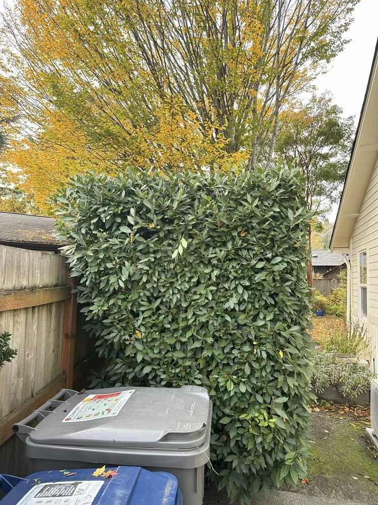 Expert residential landscaping for residential properties across Woodinville, WA - Crosby & Co