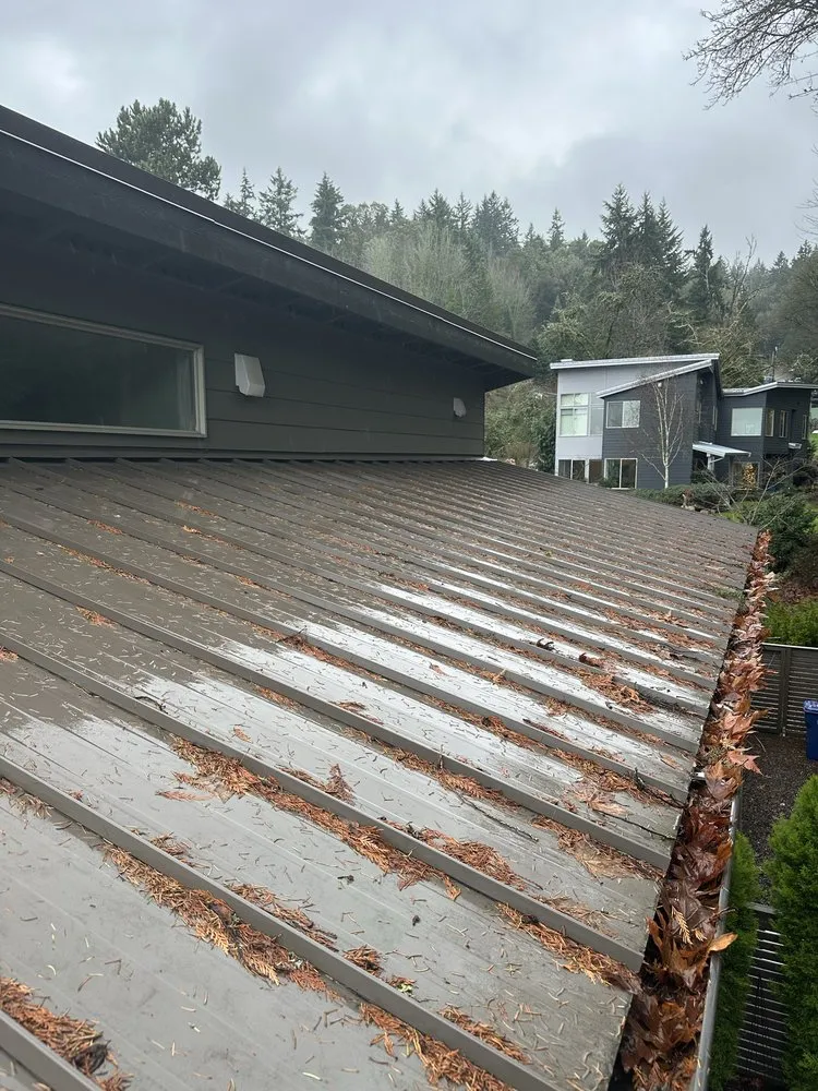 Affordable yard cleanup service experts serving Woodinville, WA - Crosby & Co