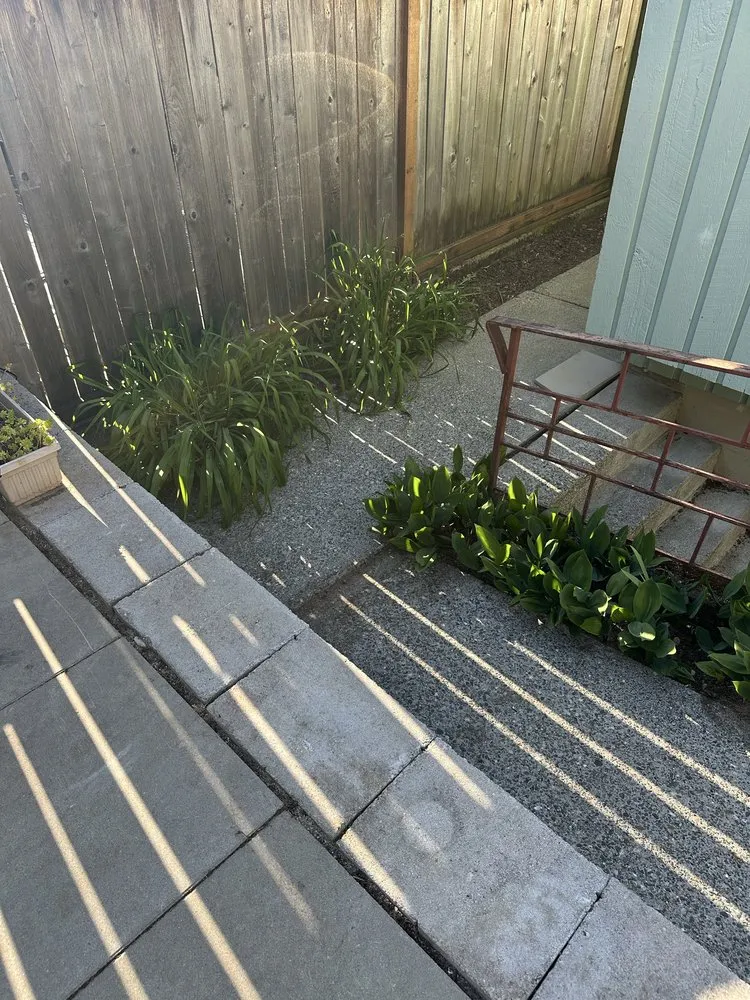 Expert landscape installation experts serving Woodinville, WA - Crosby & Co