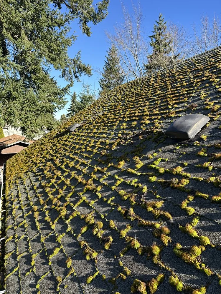 Local garden landscaping in Woodinville, WA - Crosby & Co