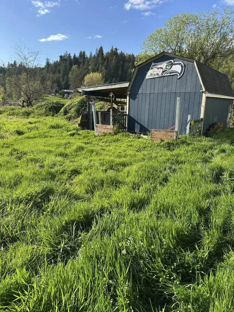 Trusted lawn care service in Woodinville, WA by Crosby & Co