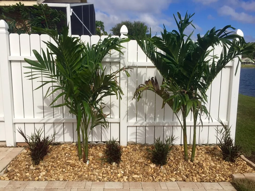 Trusted yard cleanup service near you in New Port Richey, FL by Crosby Lawn and Garden