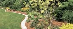 Affordable residential landscaping experts serving New Port Richey, FL - Crosby Lawn and Garden