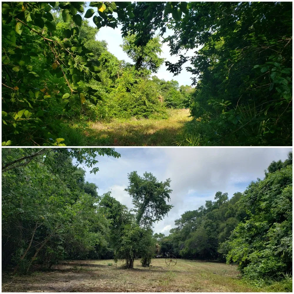 Affordable landscape installation in Alachua, FL - Crosby Willis Skid Steer Services