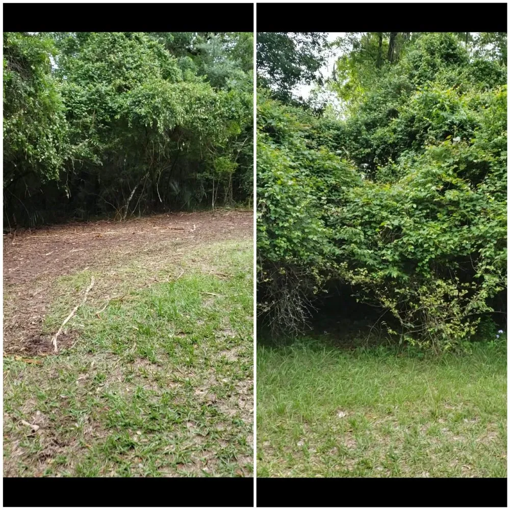 Reliable lawn care service in Alachua, FL - Crosby Willis Skid Steer Services