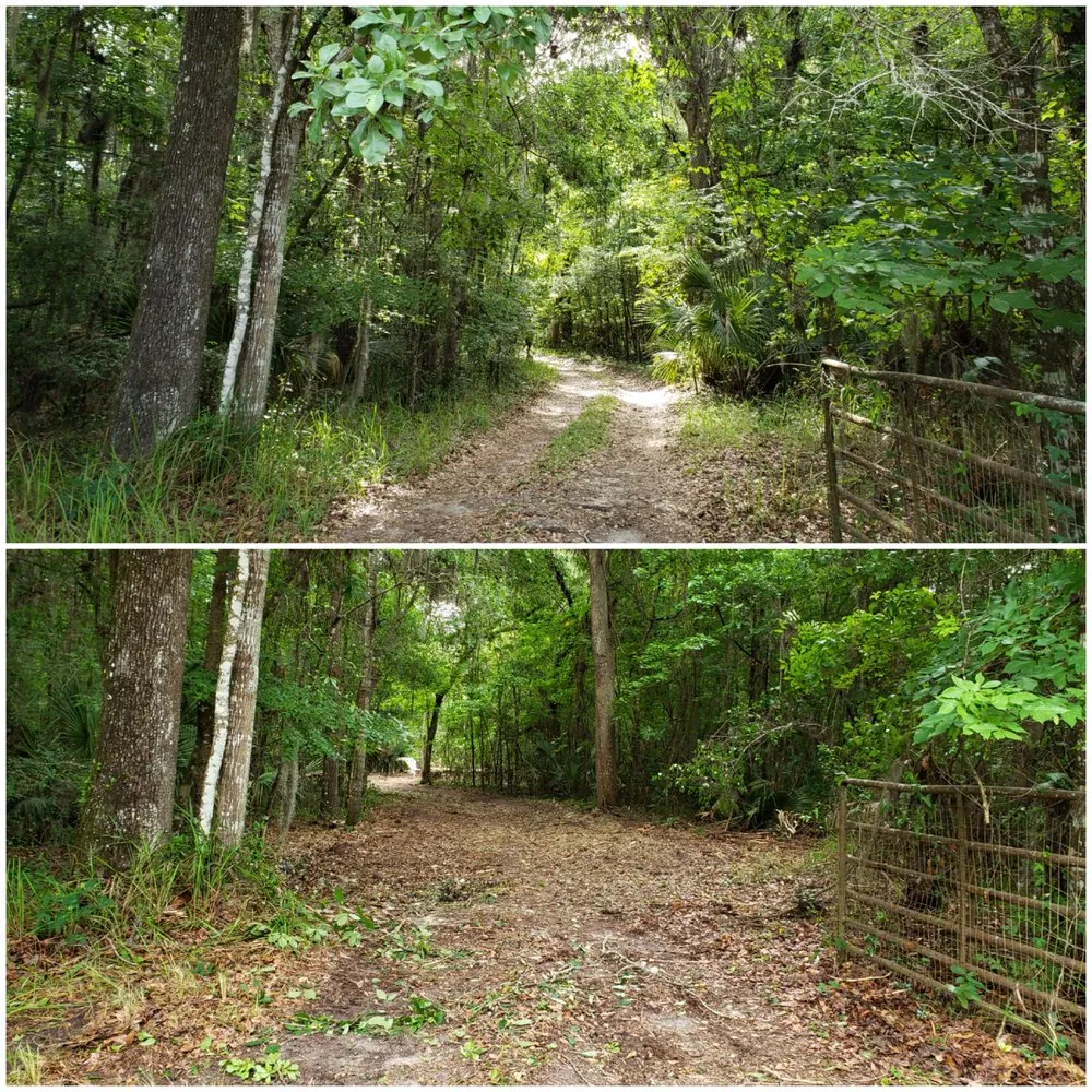 Reliable residential landscaping in Alachua, FL by Crosby Willis Skid Steer Services