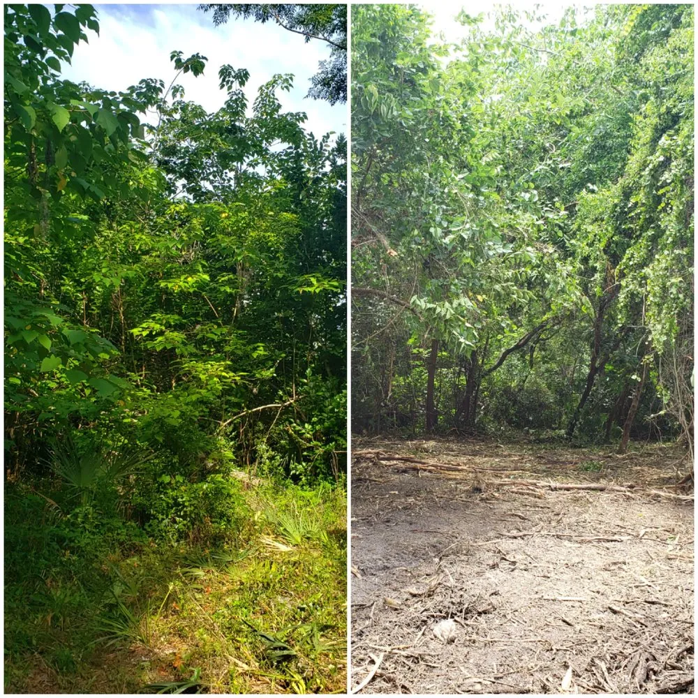 Top-rated outdoor landscaping in Alachua, FL - Crosby Willis Skid Steer Services