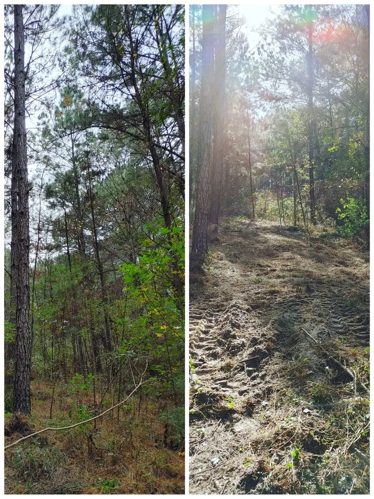 Custom residential landscaping with custom design in Alachua, FL by Crosby Willis Skid Steer Services