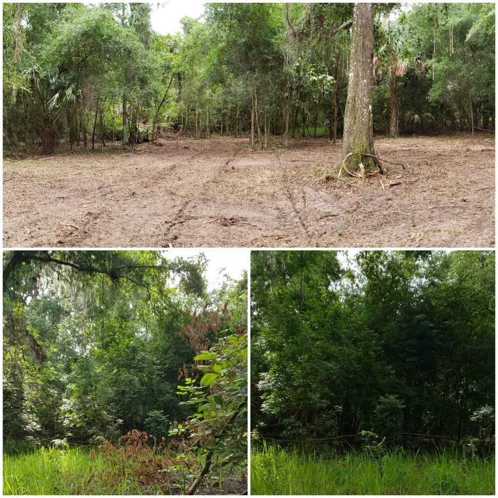 Affordable landscaping services experts serving Alachua, FL - Crosby Willis Skid Steer Services