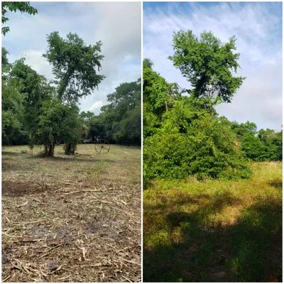 Crosby Willis Skid Steer Services Logo