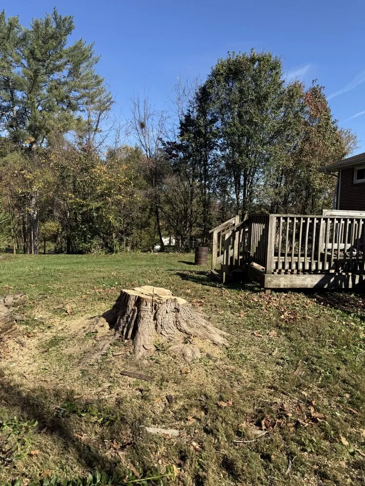 Top-rated landscaping services for homes across Bristol, TN - Cross and Sons