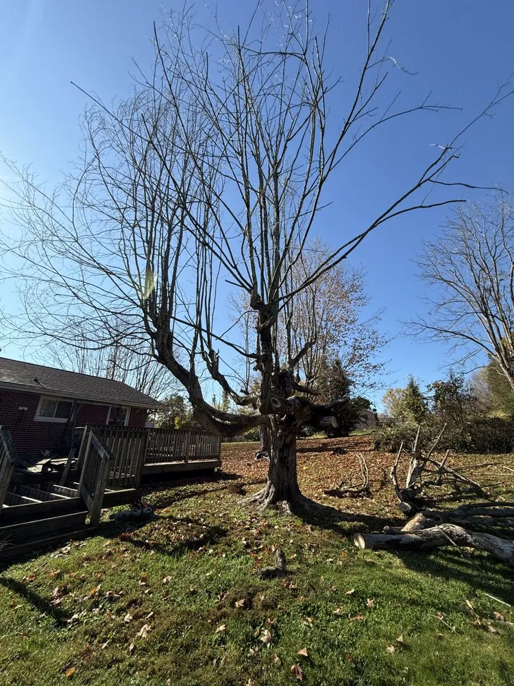 Custom lawn care service experts serving Bristol, TN - Cross and Sons