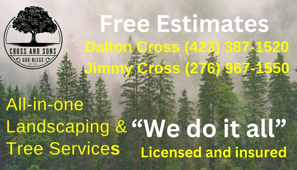 Professional lawn care service for year-round maintenance across Bristol, TN - Cross and Sons