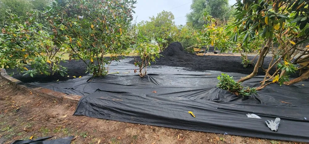 Professional landscaping services for outdoor upgrades in Chehalis, WA by Cross Brothers Services