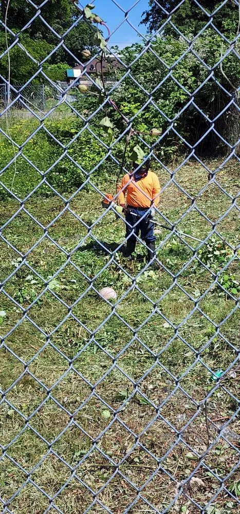 Affordable residential landscaping with custom design across Chehalis, WA - Cross Brothers Services