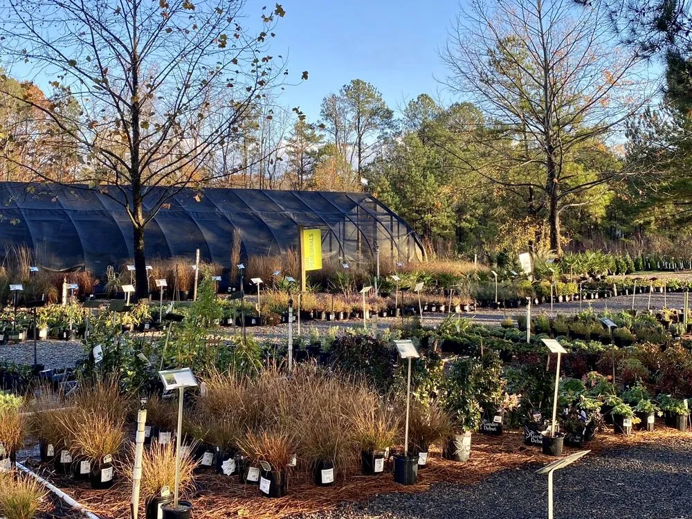 Trusted lawn care service in Richmond, VA by Cross Creek