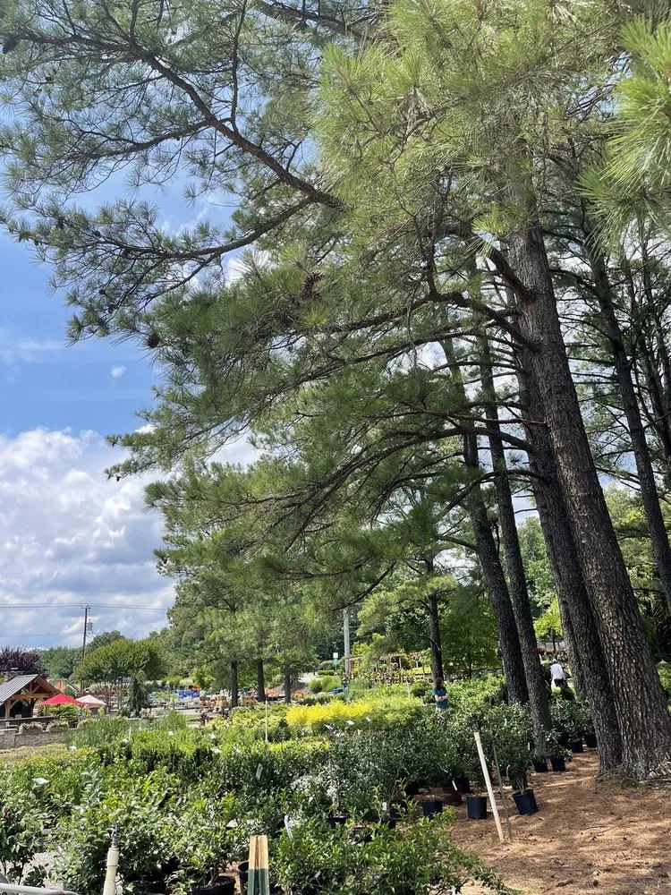 Expert residential landscaping in Richmond, VA - Cross Creek