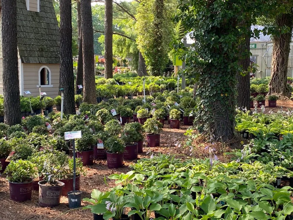 Reliable lawn care service experts serving Richmond, VA - Cross Creek