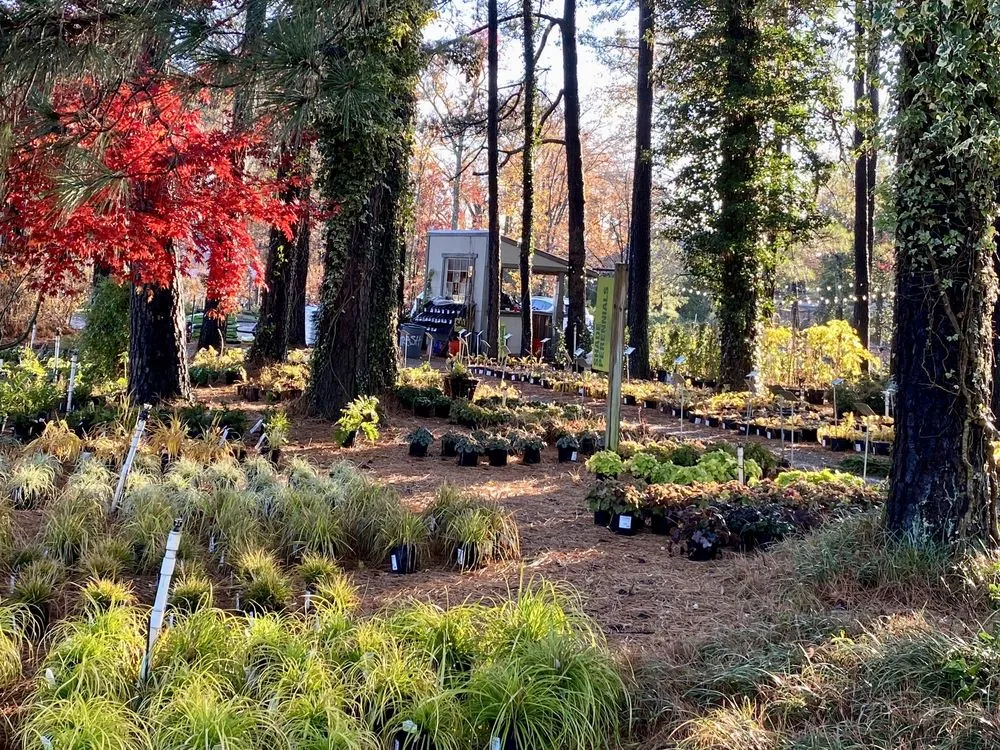 Professional landscaping services experts serving Richmond, VA - Cross Creek