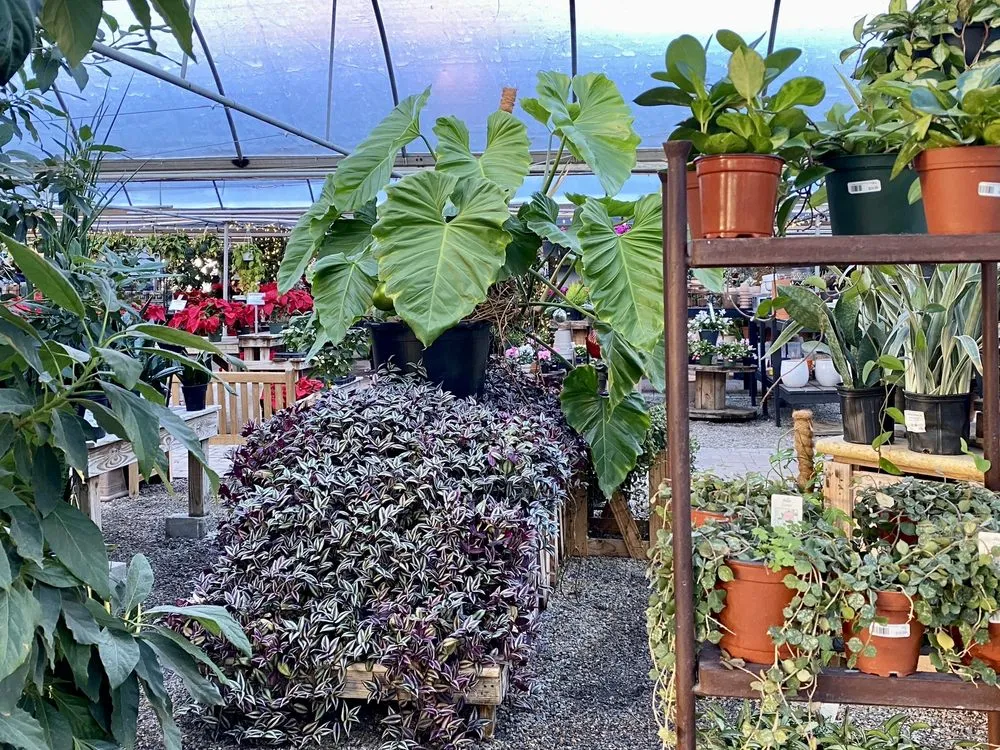 Professional yard maintenance for beautiful yards in Richmond, VA by Cross Creek