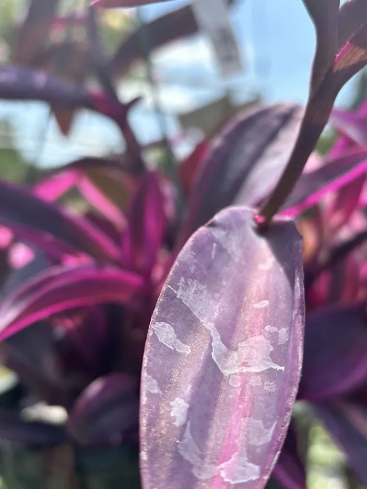 Trusted landscape design in Richmond, VA - Cross Creek