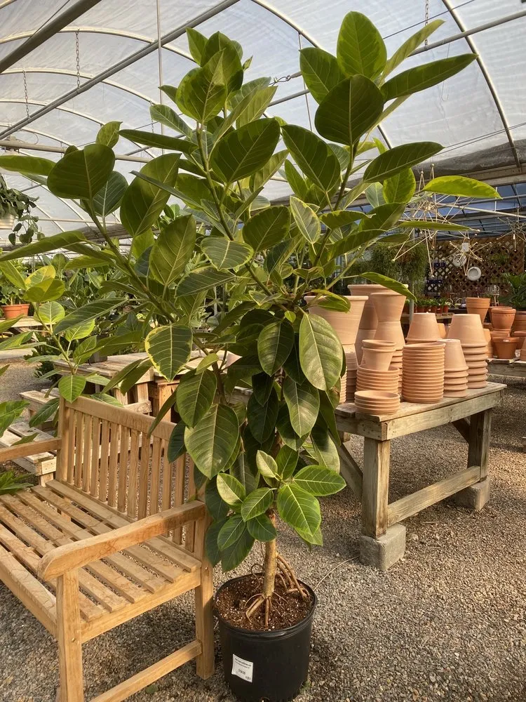 Expert outdoor landscaping for beautiful yards in Richmond, VA by Cross Creek