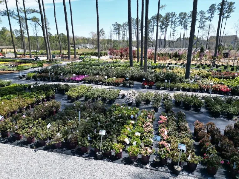 Professional lawn care service for year-round maintenance across Rockville, VA - Cross Creek