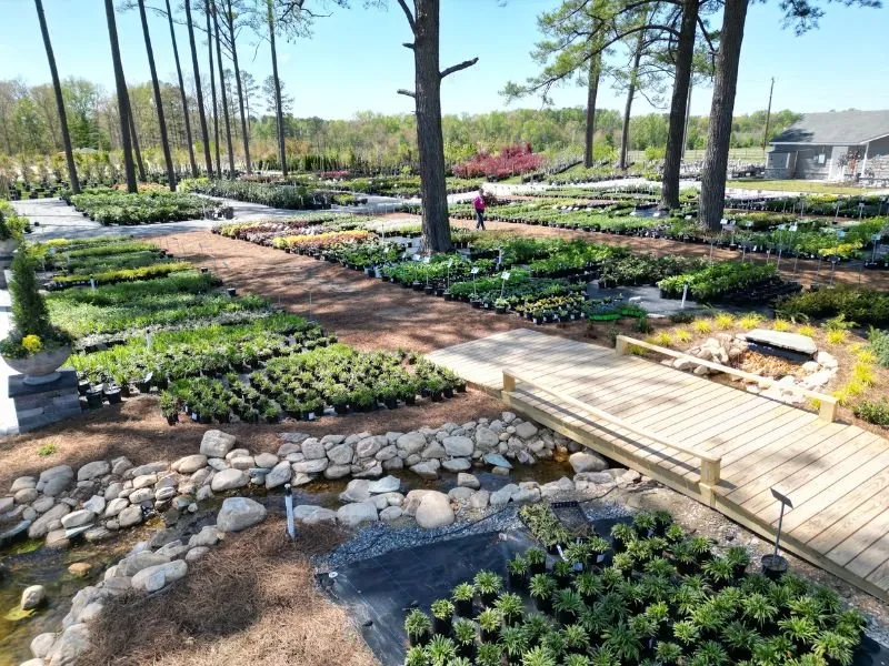 Reliable landscape installation in Rockville, VA - Cross Creek