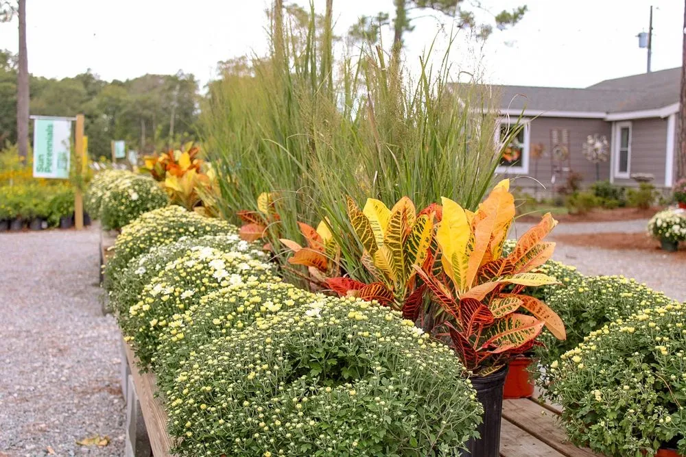 Top-rated residential landscaping with custom design in Rockville, VA by Cross Creek