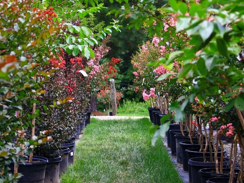 Expert landscaping services in Rockville, VA by Cross Creek