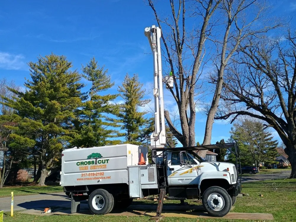 Local landscaping services experts serving Lewisville, IN - Cross Cut Tree Services and Landscaping