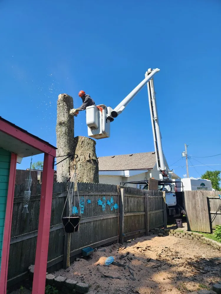 Custom yard maintenance for residential properties in Lewisville, IN by Cross Cut Tree Services and Landscaping