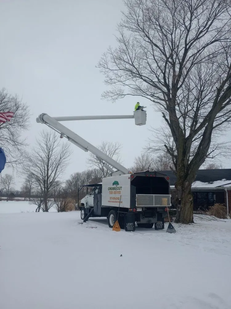 Professional lawn mowing service in Lewisville, IN - Cross Cut Tree Services and Landscaping