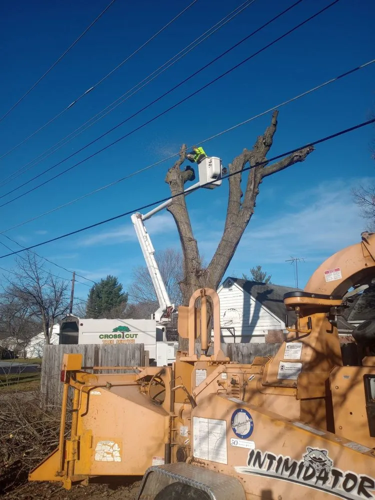 Top-rated landscaping services for residential properties in Lewisville, IN by Cross Cut Tree Services and Landscaping