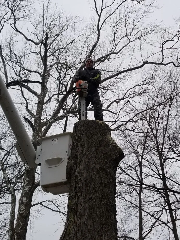 Reliable yard cleanup service for year-round maintenance across Lewisville, IN - Cross Cut Tree Services and Landscaping