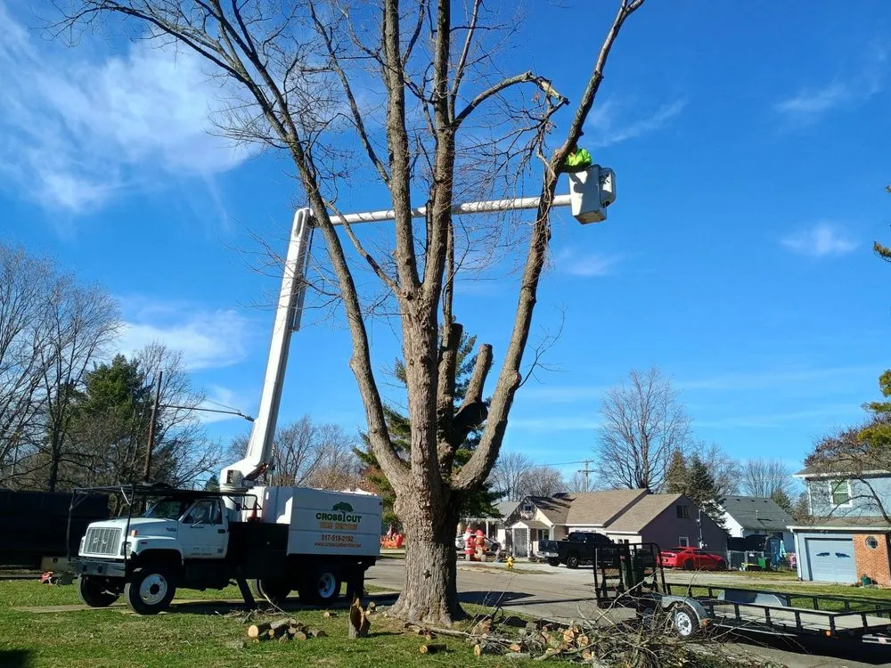 Custom landscape design for homes across Lewisville, IN - Cross Cut Tree Services and Landscaping