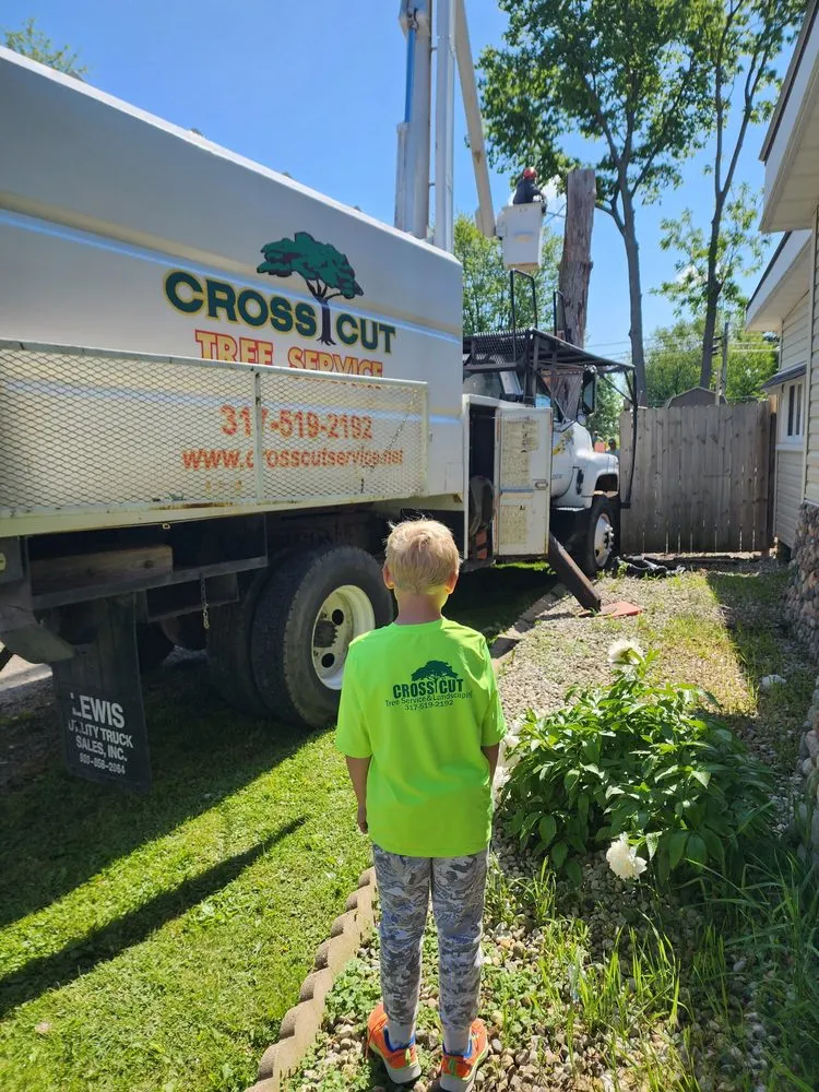 Custom lawn care service in Lewisville, IN by Cross Cut Tree Services and Landscaping