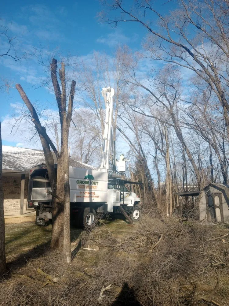 Trusted lawn care service for homes in Lewisville, IN by Cross Cut Tree Services and Landscaping
