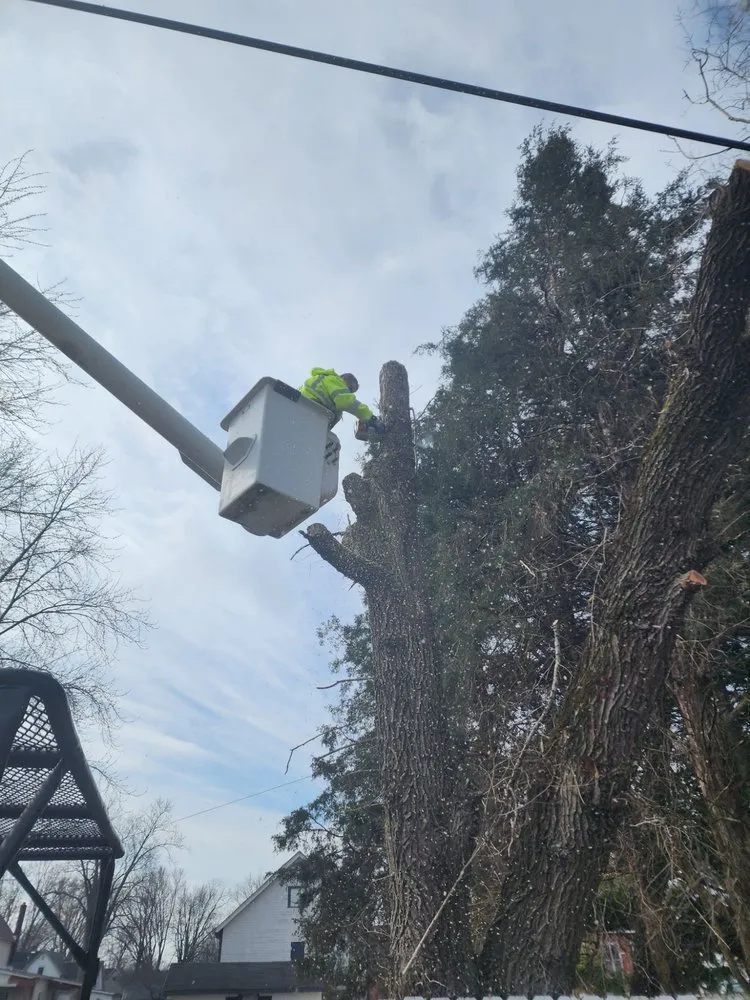 Affordable landscape installation experts serving Lewisville, IN - Cross Cut Tree Services and Landscaping