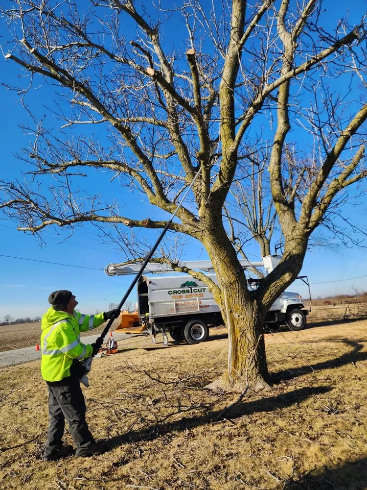 Expert landscaping services for residential properties across Lewisville, IN - Cross Cut Tree Services and Landscaping