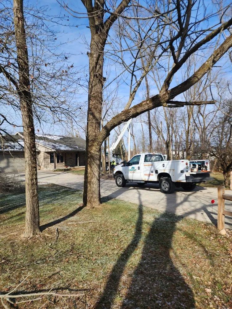 Reliable residential landscaping in Lewisville, IN - Cross Cut Tree Services and Landscaping