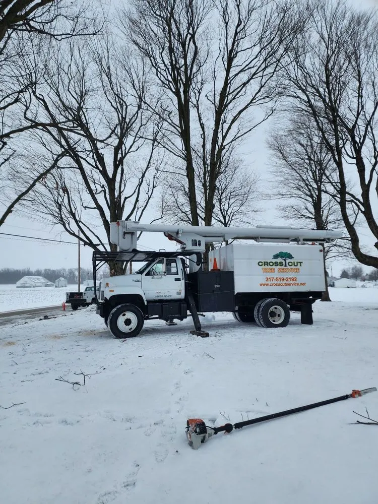 Reliable landscaping services in Lewisville, IN by Cross Cut Tree Services and Landscaping