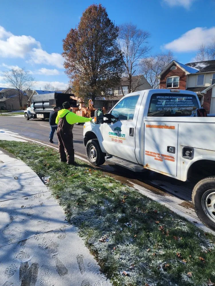 Reliable lawn mowing service in Lewisville, IN by Cross Cut Tree Services and Landscaping