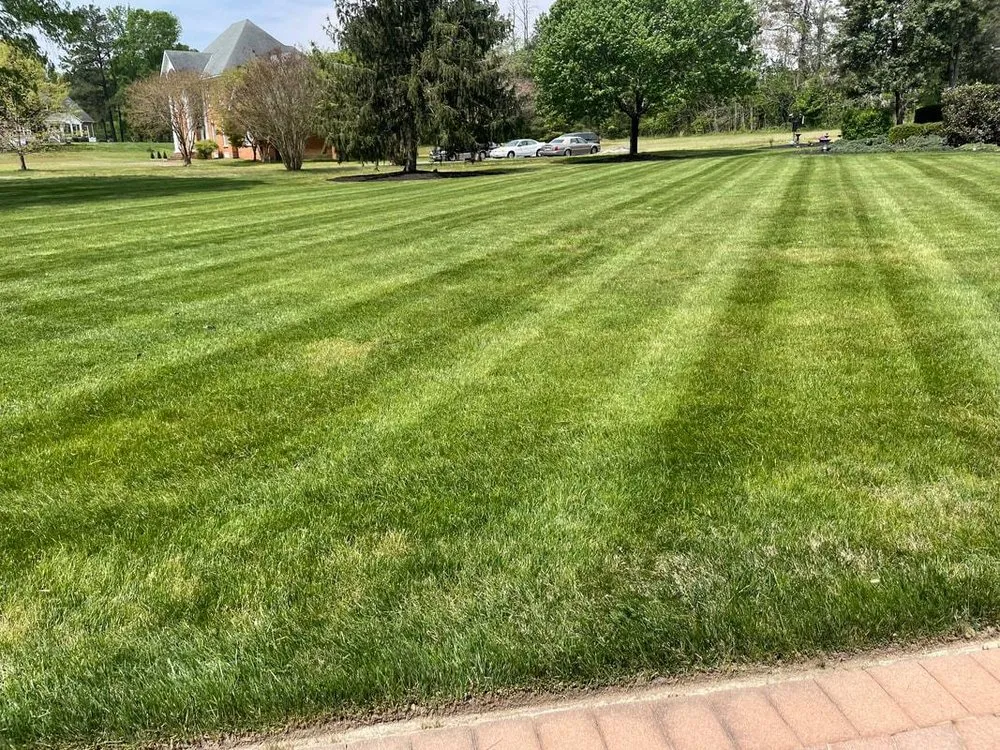 Professional landscape installation for beautiful yards across Aylett, VA - Cross Cuts Lawn Care