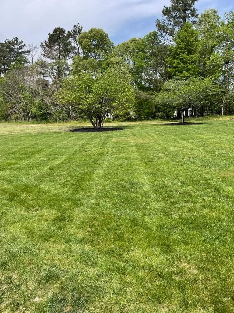 Local garden landscaping in Aylett, VA - Cross Cuts Lawn Care