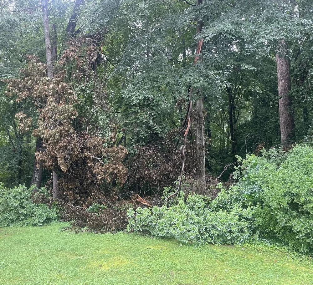 Professional landscape design in Aylett, VA by Cross Cuts Lawn Care