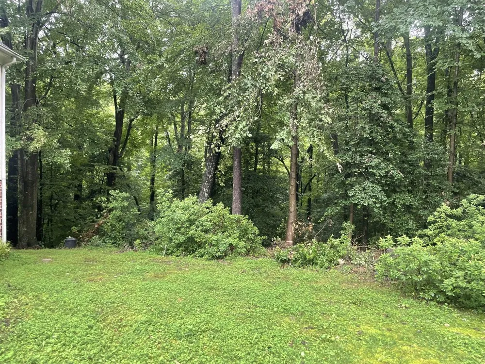 Top-rated landscaping services near you in Aylett, VA by Cross Cuts Lawn Care